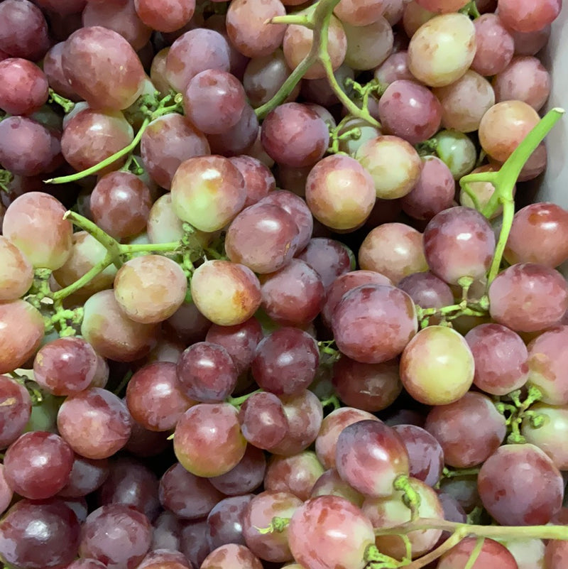 Globe Grapes