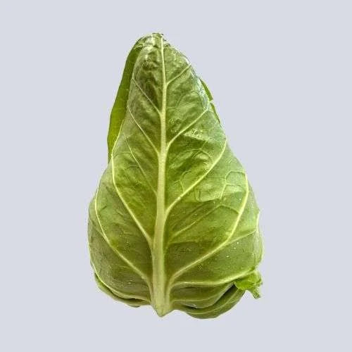 Baby Sugarloaf Cabbage
