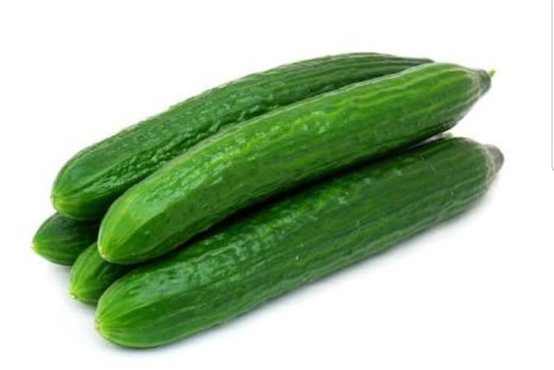Cucumber - Continental
