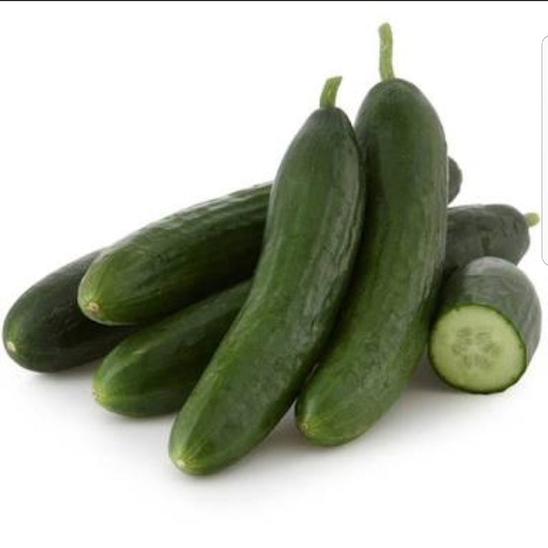 Cucumber - Lebanese