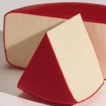 Fontina