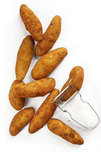 Potato - Kipfler
