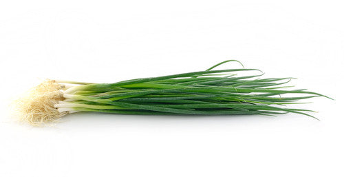 Spring Onion