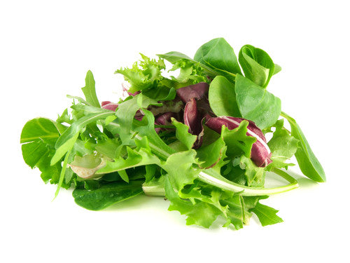 Salad Mix - 100g Punnet
