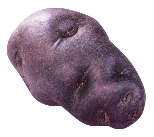 Potato - Purple Congo