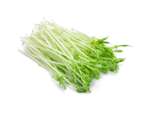 Snowpea Shoots - 100g Punnet