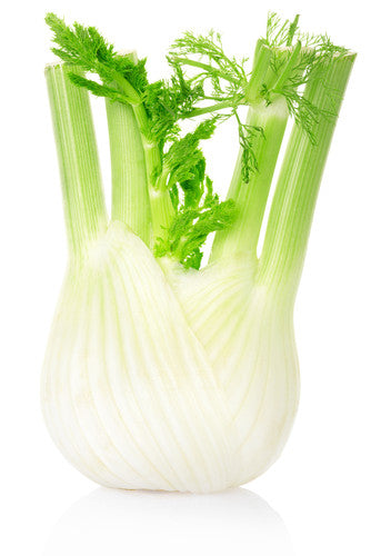 Fennel