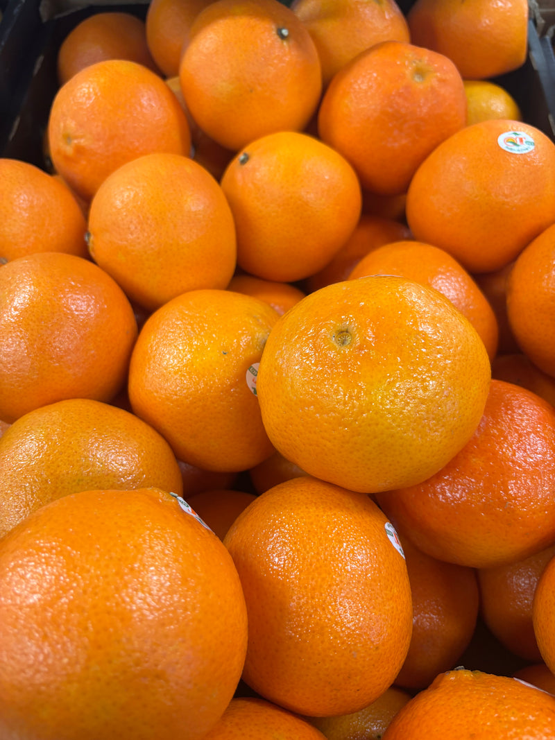 Daisy Mandarin