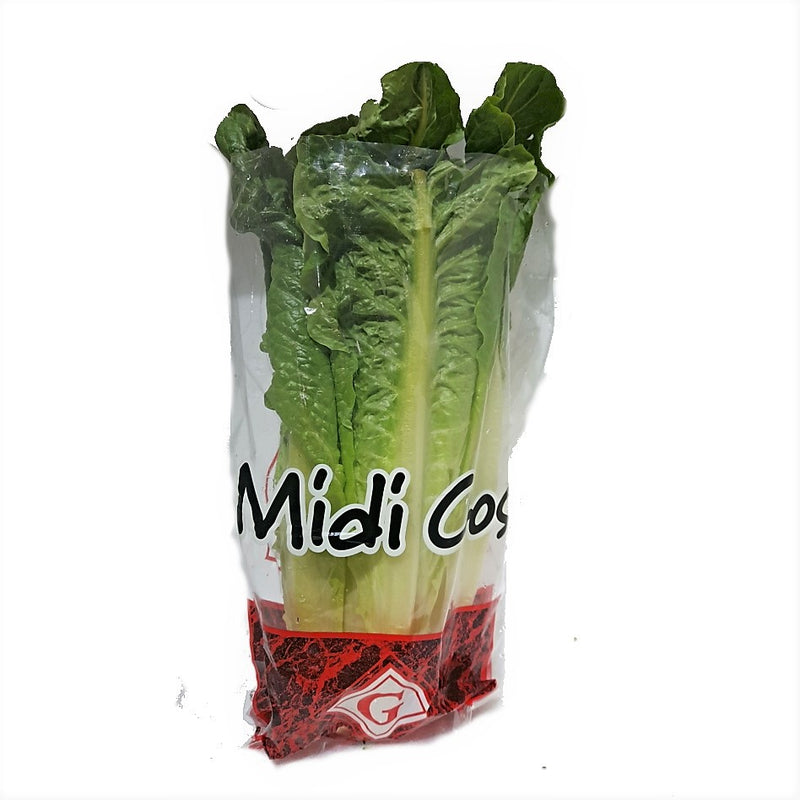 MIDI COS