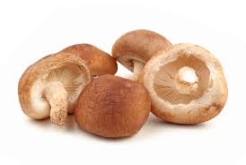 Mushroom - Shitake