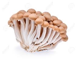 Mushroom - Shimeji