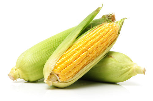 Corn