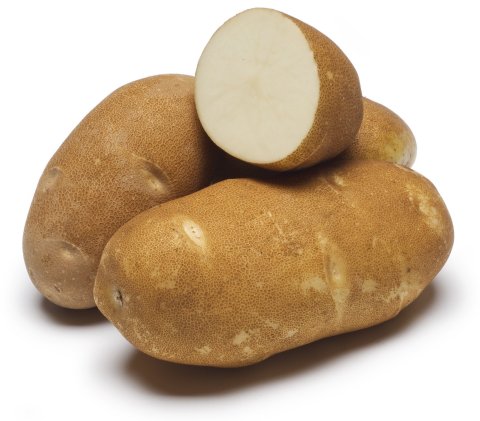 Potato - Russet /kg